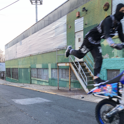 Zebra Mx Pants
